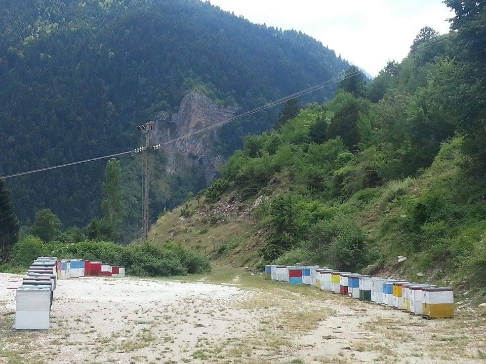 meli-kypseles-1