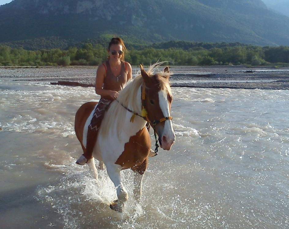 aloga trikala 2