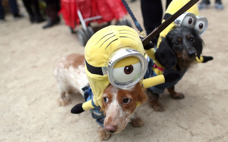 mminiinodonsnserser3